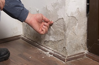Is-rising-damp-covered-by-buildings-insurance-768x432